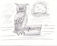 Wise Owl